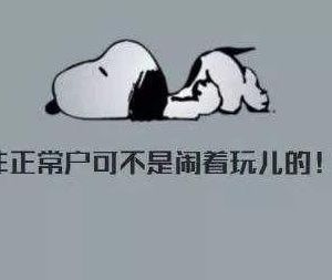 公司被納入非正常戶(hù)后如何正常注銷(xiāo)？