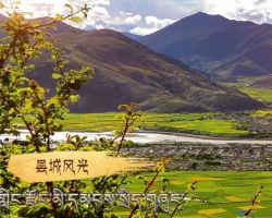 南木林縣人力資源和社會(huì)保